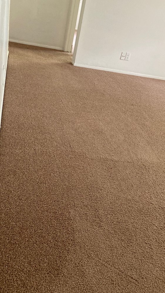 ACE CARPET CLEANING Updated July 2024 5886 De Zavala Rd, San