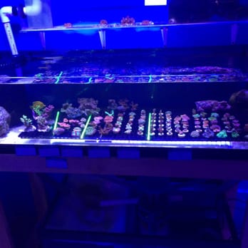 Simply Pets - Pet Stores Near Me - Chesapeake, Virginia Simply Pets - Pet Stores Near Me - Chesapeake, Virginia
