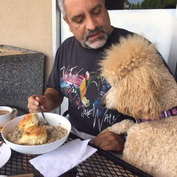 Dirtbag Tea Cafe - Daddy, can I have some biscuits and gravy? - Cafes Near Me - Orangevale, California