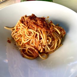Bolognese Bolognese