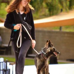 K9 University - Alex in action at K9 University