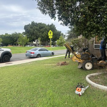 Affordable Tree Care - Stump puller and 2 hard working men - Tree Services Near Me Affordable Tree Care - Stump puller and 2 hard working men - Tree Services Near Me