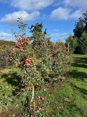 Beilke Family Farm by null