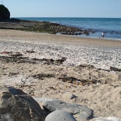 Daniel champion - New Quay, West Wales