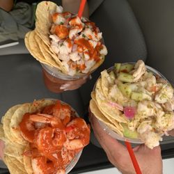La Pasadita Preparadas