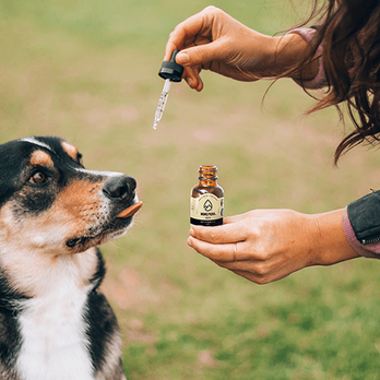 Mons Pura - CBD for pets. - Vitamins & Supplements Near Me - Vineyard, Utah Mons Pura - CBD for pets. - Vitamins & Supplements Near Me - Vineyard, Utah