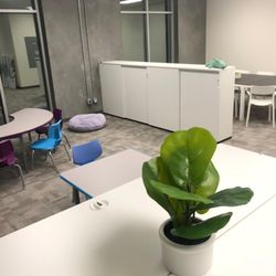 ACES ABA - Autism Therapy Center - ACES - Elevating the Standards in the Treatment of Autism.