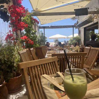 Fig Tree - Matcha with an ocean view - Cafes Near Me - Los Angeles, California