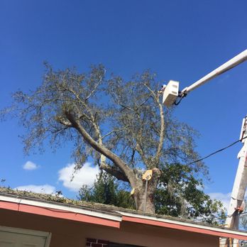 Rivero Tree Services - Tree services - Tree Services Near Me Rivero Tree Services - Tree services - Tree Services Near Me