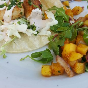 Blue Surf Cafe - Mahi tacos with mango side salad. - Cafes Near Me - Wilmington, North Carolina Blue Surf Cafe - Mahi tacos with mango side salad. - Cafes Near Me - Wilmington, North Carolina