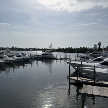 Island Ocean Star - Sushi Bars Near Me - Anna Maria, Florida Island Ocean Star - Sushi Bars Near Me - Anna Maria, Florida