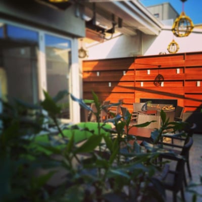 The Merrion Inn by null