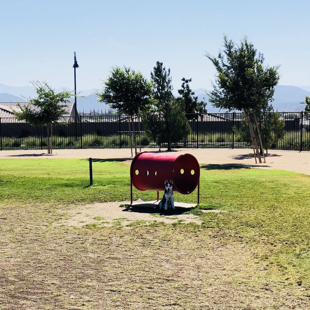 Heroes Dog Park - Catching shade in the large dog park - Dog Parks Near Me - Murrieta, California Heroes Dog Park - Catching shade in the large dog park - Dog Parks Near Me - Murrieta, California