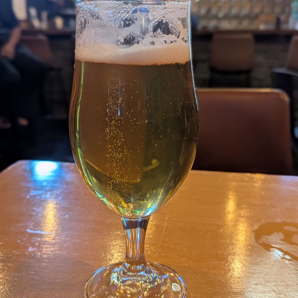Savage Brewing - 51 Savage pilsner - Breweries Near Me - Kirkland, Washington Savage Brewing - 51 Savage pilsner - Breweries Near Me - Kirkland, Washington