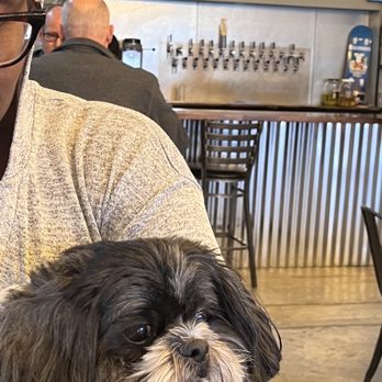 Hermosa Brewing - Torrance - Dog friendly and even gave our boy treats - Breweries Near Me - Torrance, California Hermosa Brewing - Torrance - Dog friendly and even gave our boy treats - Breweries Near Me - Torrance, California