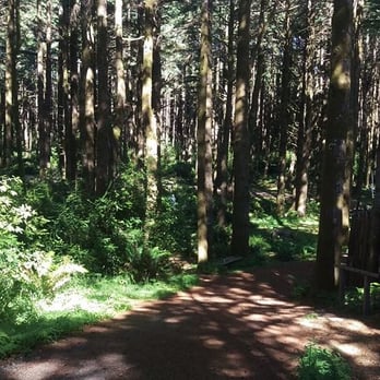 WildSpring Guest Habitat - Walkway from the guest hall to the cabins. - Hotels Near Me - Port Orford, Oregon WildSpring Guest Habitat - Walkway from the guest hall to the cabins. - Hotels Near Me - Port Orford, Oregon