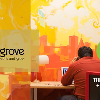 Website Jungle - Web Design Near Me - Jersey City, New Jersey Website Jungle - Web Design Near Me - Jersey City, New Jersey