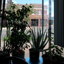 nice people, nice plants