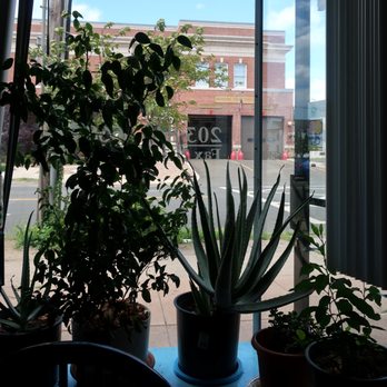 Taco King - nice people, nice plants - Mexican Near Me - Hamden, Connecticut