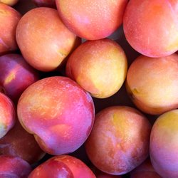Dry Creek Peach & Produce
