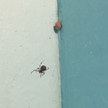 Lakeside Pines Campground - The promise of more spiders... in the men's room. - Campgrounds Near Me - Bridgton, Maine Lakeside Pines Campground - The promise of more spiders... in the men's room. - Campgrounds Near Me - Bridgton, Maine