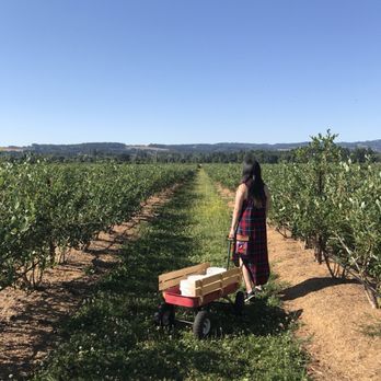 Hoffman Farm Store - Fruits & Veggies Near Me - Beaverton, Oregon
