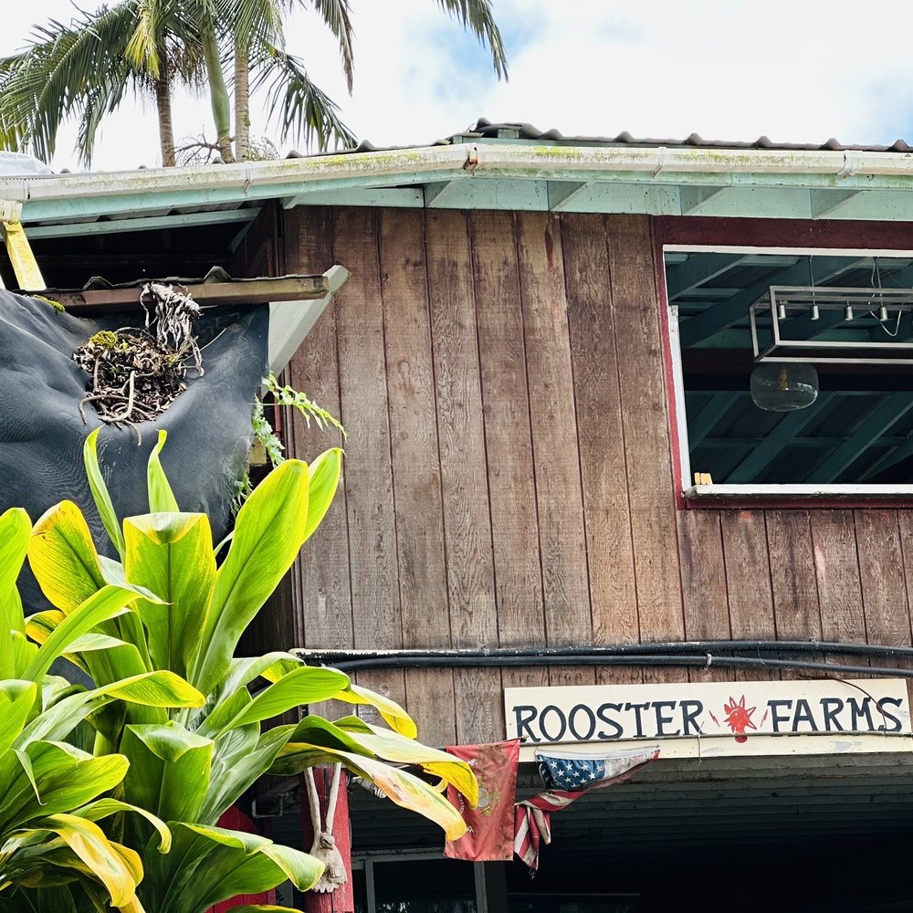 Rooster Farms - Rooster Farm. Front of building. - Farms Near Me - Captain Cook, Hawaii Rooster Farms - Rooster Farm. Front of building. - Farms Near Me - Captain Cook, Hawaii