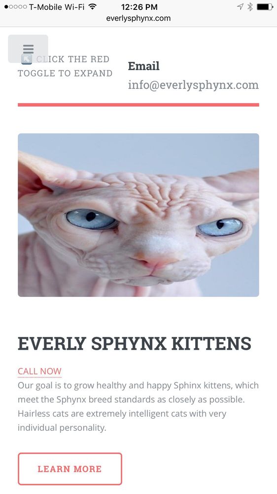 EVERLY SPHYNX KITTENS Updated September 2024 1118 E 9th St, Duluth