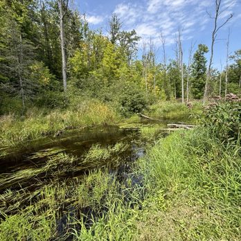 Sandy Pines Campground - Campgrounds Near Me - Warba, Minnesota Sandy Pines Campground - Campgrounds Near Me - Warba, Minnesota