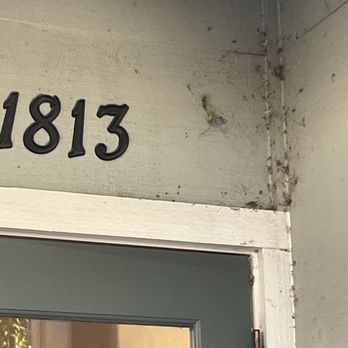 Yogurt Time - Cobwebs, bugs, old leaves. - Ice Cream & Frozen Yogurt Near Me - Vancouver, Washington