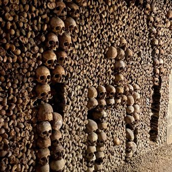 Les Catacombes de Paris - Local Flavor Near Me - Paris, 75 Les Catacombes de Paris - Local Flavor Near Me - Paris, 75