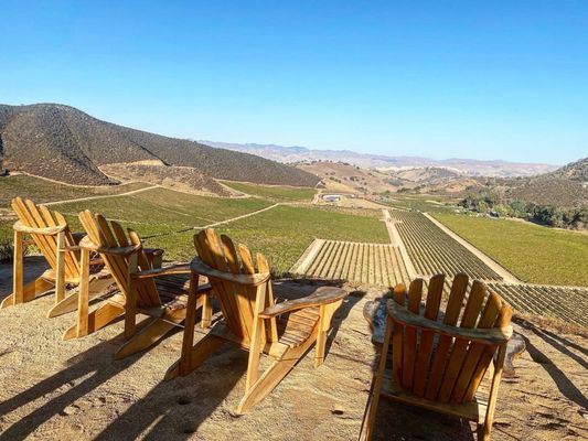 Eden Rift Vineyards by null
