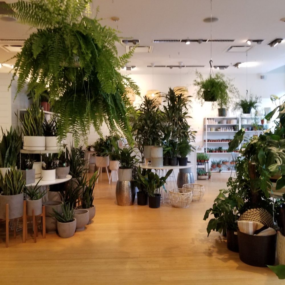 Dennis' 7 Dees Garden Centers - Healthy, vibrant plants - Nurseries & Gardening Near Me - Tigard, Oregon