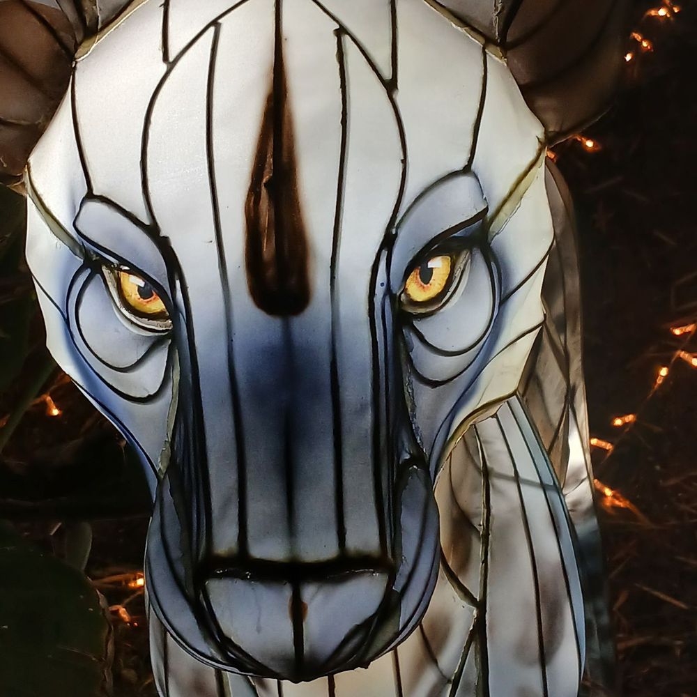 Los Angeles Zoo Calabasas, CA 91302 - Last Updated January 2026 - Yelp, image size:1000x1000