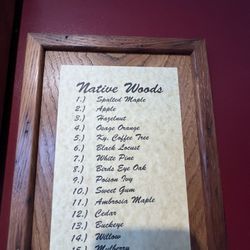 The Carpenter's Cup - Look at all the different woods from The local Area!
