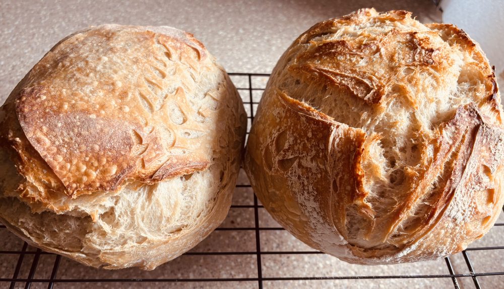 Small Town Sourdough Logo