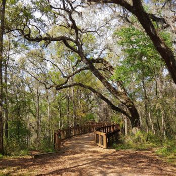 Tom Brown Park - Dog Parks Near Me - Tallahassee, Florida Tom Brown Park - Dog Parks Near Me - Tallahassee, Florida