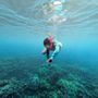 Photo of Maui Digital Imaging