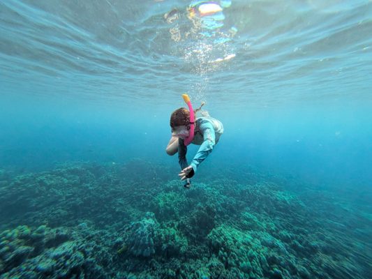 Maui Digital Imaging