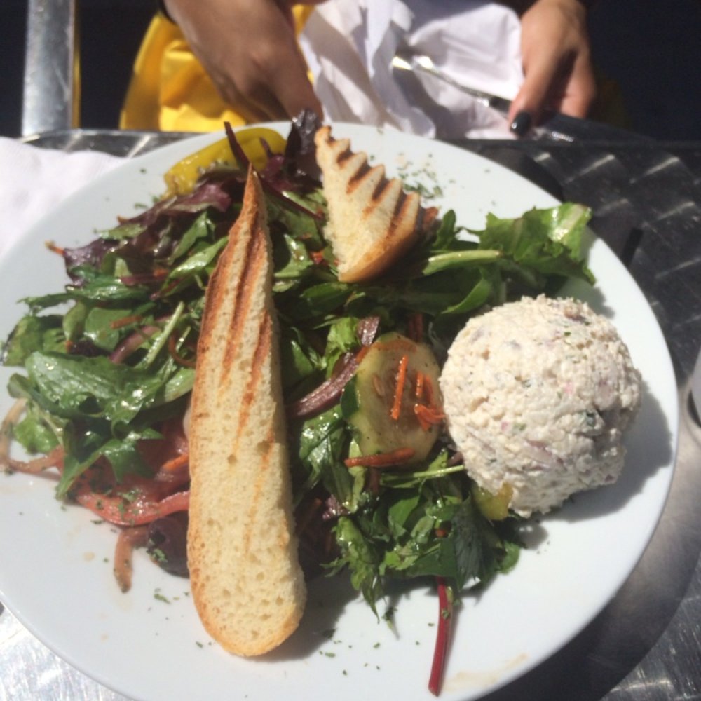 Lemoni Cafe - Chicken salad. - Breakfast & Brunch Near Me - Miami, Florida Lemoni Cafe - Chicken salad. - Breakfast & Brunch Near Me - Miami, Florida