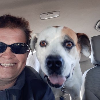 Off the Chain Training & Rescue - Pet Training Near Me - Toney, Alabama Off the Chain Training & Rescue - Pet Training Near Me - Toney, Alabama