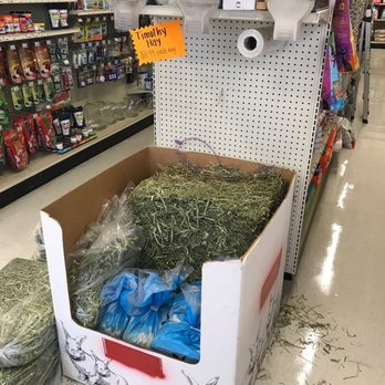 Pet Supply - Hay on sale - Pet Stores Near Me - Bonita, California Pet Supply - Hay on sale - Pet Stores Near Me - Bonita, California