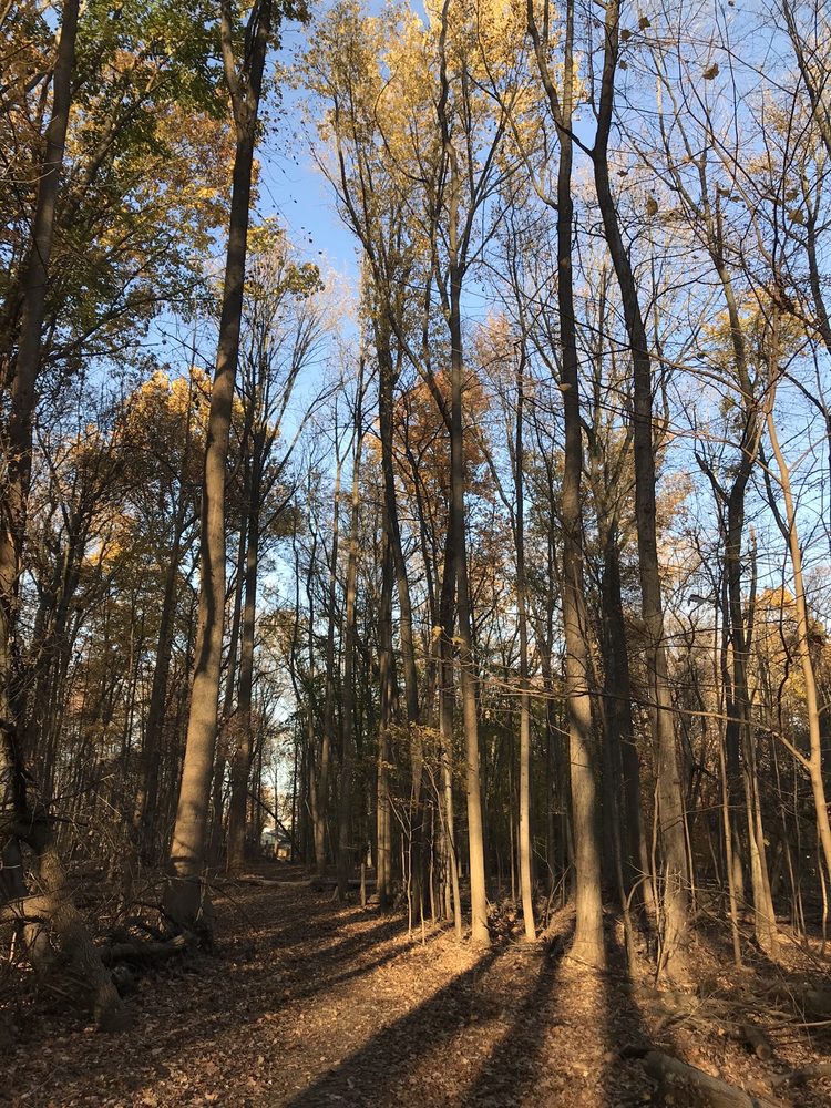 EMERSON WOODS PRESERVE Updated September 2024 24 Photos 350 Main