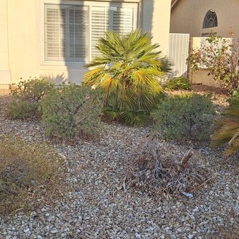 Lobo Landscaping & Maintenance - Before - Landscaping Near Me
