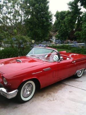 Successful Auto Detailing - Book your mobile auto detailing today
