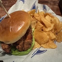 chicken sandwich