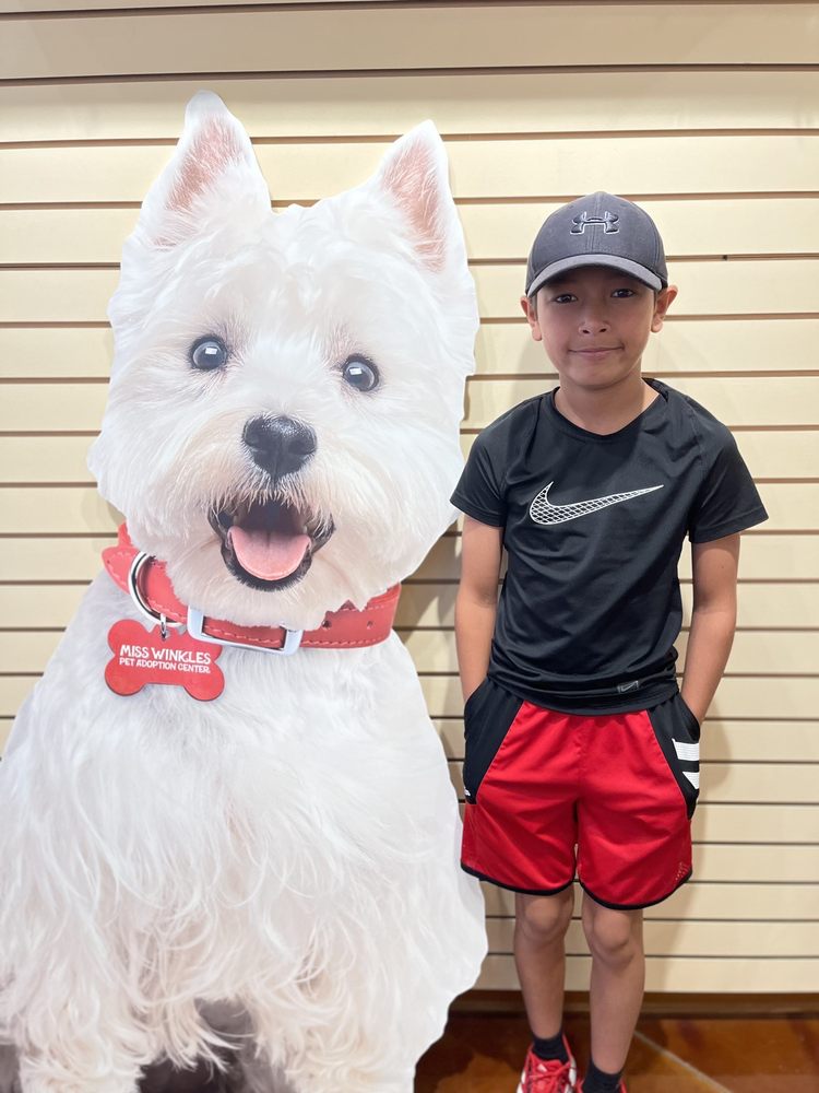 MISS WINKLES PET ADOPTION CENTER Updated October 2024 39 Photos