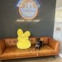 Photo of Sancho and Lucky’s Dog Spa