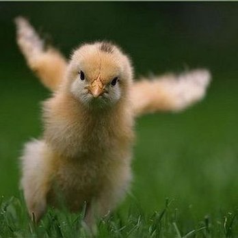 Wingstop - Wait for me! - Chicken Wings Near Me - Sacramento, California