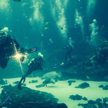Xplore Scuba - Scuba Diving Near Me - Fort Mill, South Carolina Xplore Scuba - Scuba Diving Near Me - Fort Mill, South Carolina